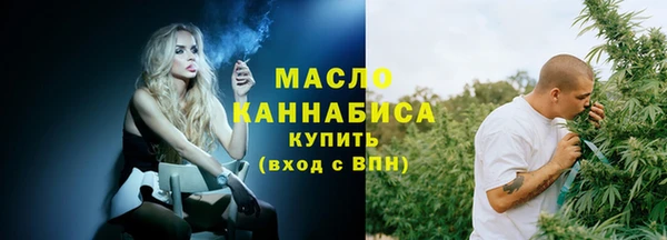 гашик Пересвет