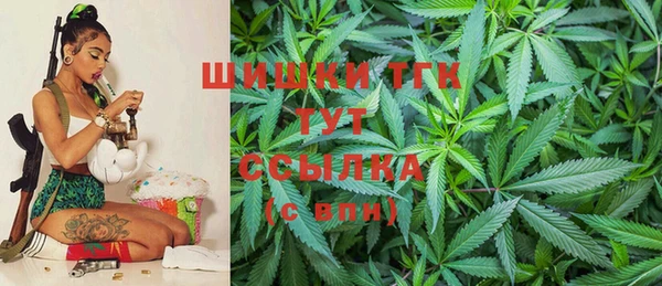 дживик Аркадак